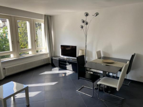 CENTRO Appartamento Ascona